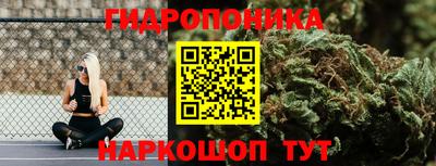 mdpv Заводоуковск