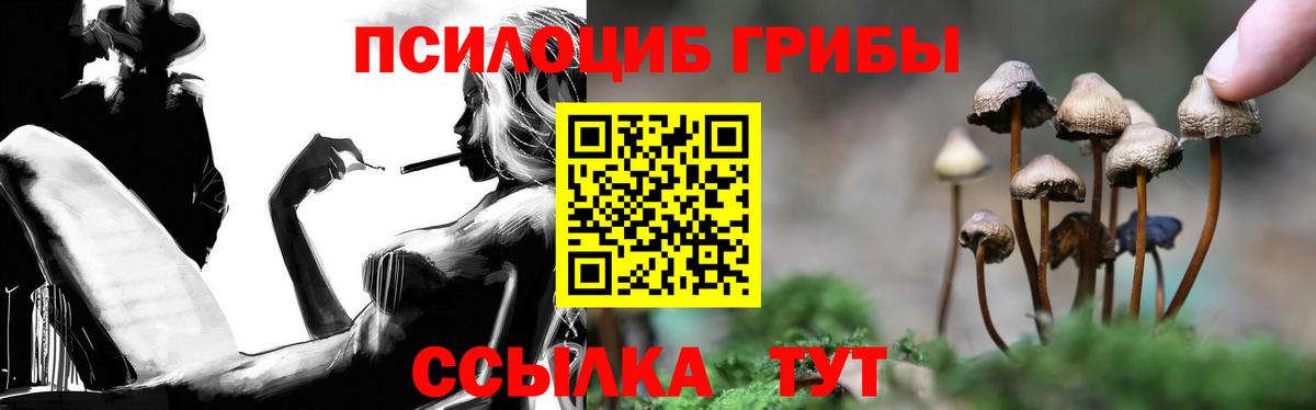 Галлюциногенные грибы Cubensis Кропоткин